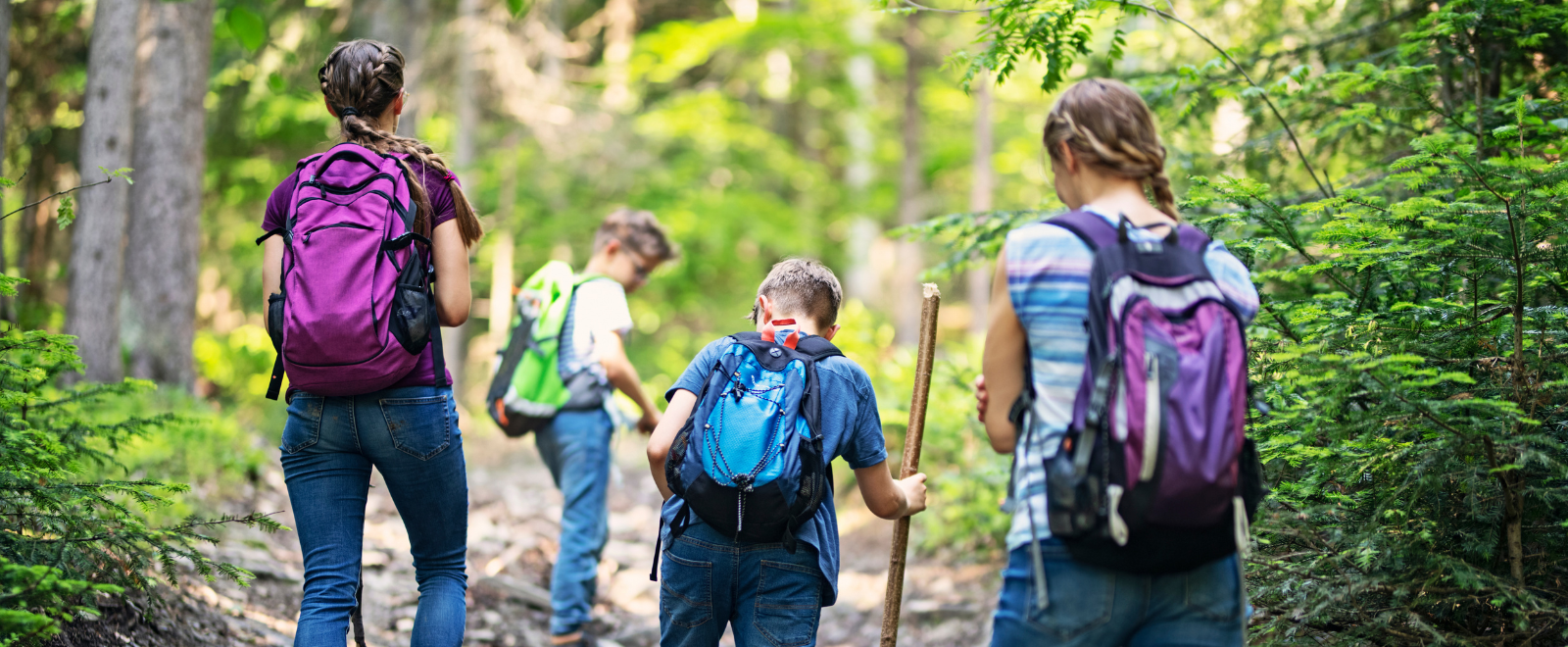 Kinder mit Wanderrucksäcken im Wald