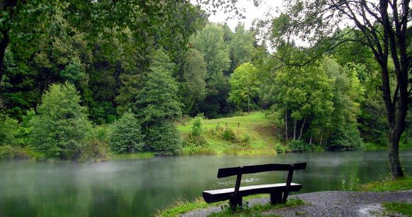 Bank am See