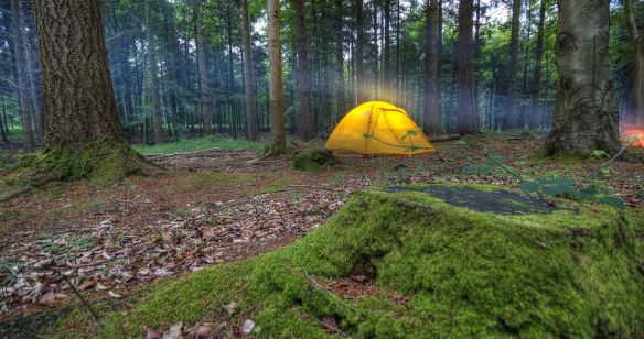 Zelt im Wald, ein Licht ist an und schimmert leicht in der Sonne