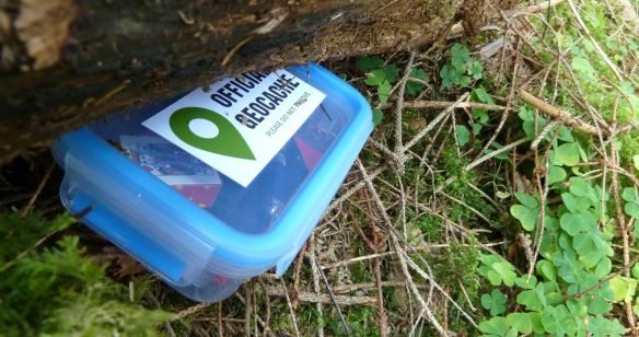 Ein Geocache ist im Wald unter einem Baum versteckt