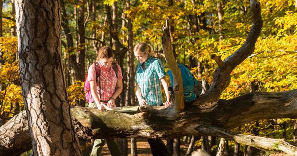 Zwei Frauen schauen in eine Karte im Wald