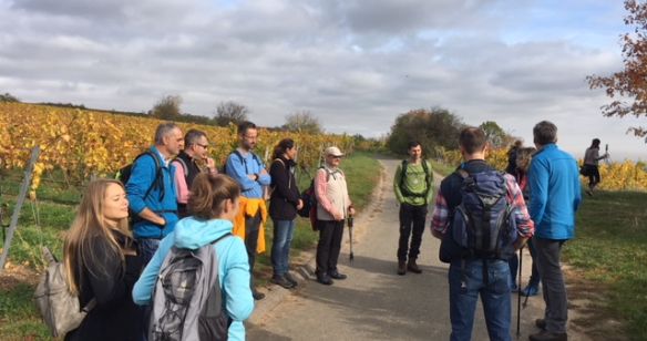 Wandergruppe bespricht sich auf dem Feldweg