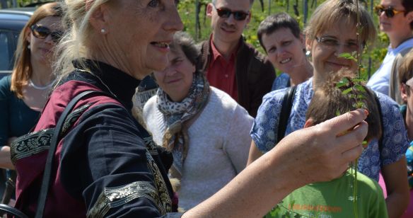 Kräuterexpertin erklärt Wandergruppe etwas über eine Kräutersorte