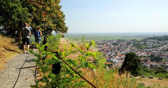 Panaromatour Bad Dürkheim