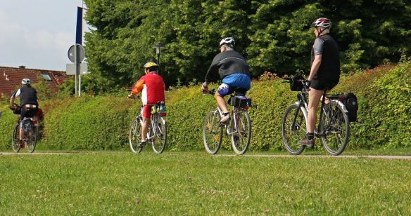 Vier Männer bei einer Radtour