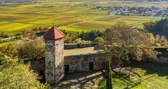 Blick auf Burg Battenberg