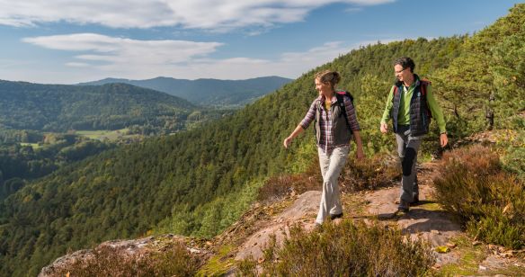 Eine Frau und ein Mann wandern auf dem Dimbacher Buntsandstein Höhenweg