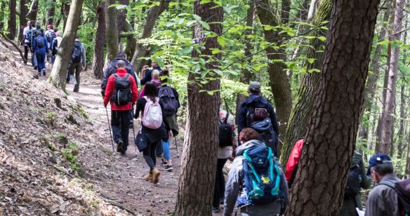 Wandergruppe auf dem Martinusweg, zum Teil mit Wanderstöcken unterwegs