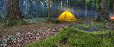 Zelt im Wald, ein Licht ist an und schimmert leicht in der Sonne