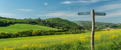 Graslandebene - im Vordergrund ein Wegweiser