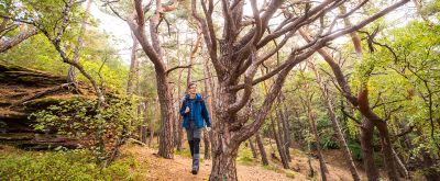 Wanderer auf dem Hauensteiner Schusterpfad