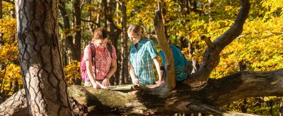 Zwei Frauen schauen in eine Karte im Wald