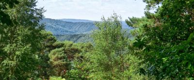 Blick auf den Pfälzer Wald bei Neustadt