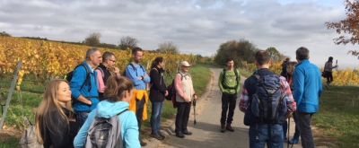 Wandergruppe auf Saumagenweg Wandergruppe bespricht sich auf dem Feldweg