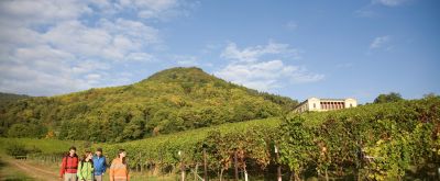 Rhodter Weinsicht Villa Ludwigshöhe bei Rhodt