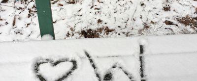 Bank im Wald bei Schnee