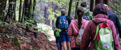 Wandergruppe im Wald