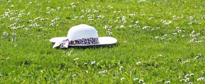 Sonnenschutz Sonnenhut auf Wiese
