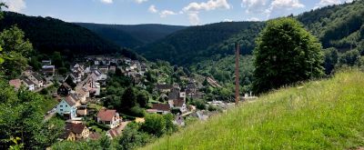 Blick auf Neidenfels