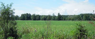 Kandel Rundweg um das Naturfreundehaus Bienwald 