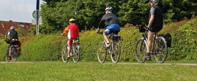 Vier Männer bei einer Radtour