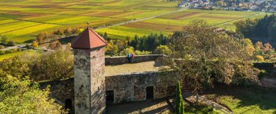 Blick auf Burg Battenberg