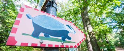 Dachsiweg-Schild Dachsiweg-Schild an einem Pfahl im Wald