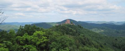 Wernersberg Trifelsblick, Sicht auf die Burg