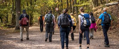 Wanderer Hambacher Rundweg Wandergruppe auf dem Hambacher Rundweg