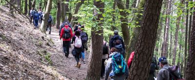 Wandern mit Wanderstöcken Wandergruppe auf dem Martinusweg, zum Teil mit Wanderstöcken unterwegs
