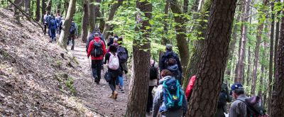 Wandergruppe auf dem Martinusweg, zum Teil mit Wanderstöcken unterwegs