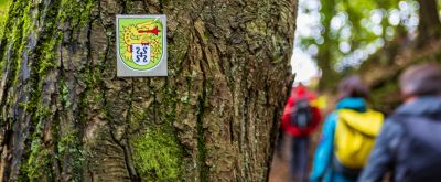 Wanderung Panoramaweg Bad Dürkheim Baumstamm mit Wegmarkierung des Drachenfelsclub, im Hintergrund Wanderer