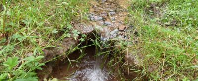 Schleipbrunnen Quelle im Wald