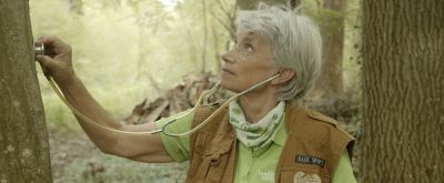 Baum Naturführerin Gerlinde Langner steht mit einem Stethoskop an einem Baum