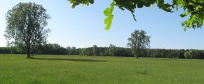 Blick auf die Holzwiesen