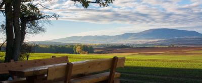 Aussicht während einer Wanderung auf dem Adolf-von-Nassau Wanderweg