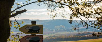 Dachsi-Wanderweg Wegweiser des Dachsi-Wanderwegs