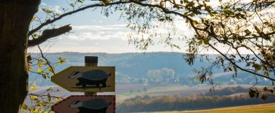 Wegweiser des Dachsi-Wanderwegs