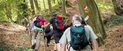 Wanderer auf dem Leininger Burgenweg. Im Hintergrund Wegmarkierung sichtbar.