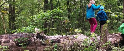 Abenteuer-Tour durch den Auenwald Kinder balancieren auf einem Baumstamm