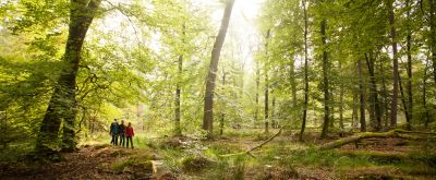 Schaidter Westwallweg Wanderer auf dem Schaidter Westwallweg