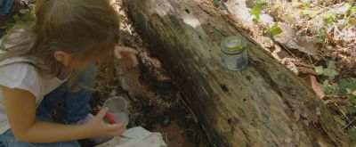 Mädchen hält Becherlupe in der hand und sucht Insekten im Wald