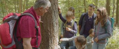 Förster Volker Westermann zeigt im Wald einen Malbaum