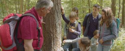 Geheimnissen des Waldes auf der Spur Förster Volker Westermann zeigt im Wald einen Malbaum