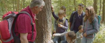 Förster Volker Westermann zeigt im Wald einen Malbaum