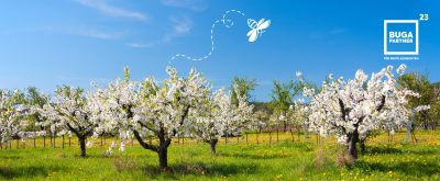 Wanderfit auf der BUGA 23 Blühende Obstbäume mit BUGA 23-Partnerlogo