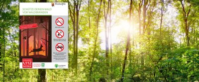 Schütze den Wald vor Waldbränden Blick in einen Wald, im Vordergrund ist ein großes Schild zu sehen, dass auf die Waldbrandgefahr hinweist