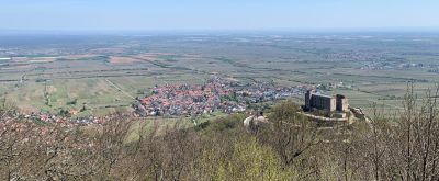 Von Weitsicht zu Weitsicht Blick von oben auf das Hambacher Schloss