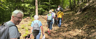 Eine Wandergruppe unterwegs im Pfälzerwald
