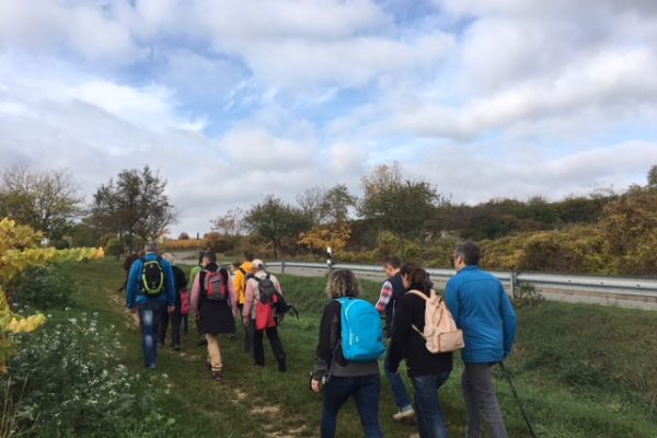 Wandergruppe geht den Saumagenweg entlang